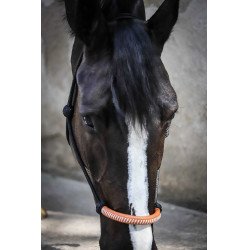 Cabezada de cuadra Pénélope American Negro