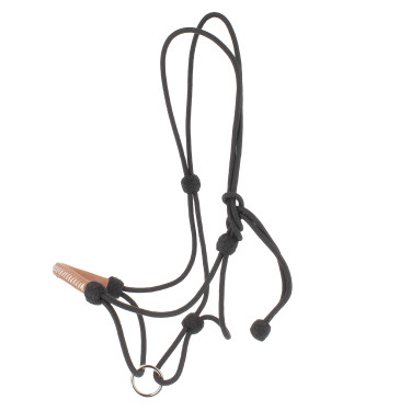 Cabezada de cuadra Pénélope American Negro