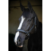 Cabezada de cuero Pénélope Point Sellier Negro