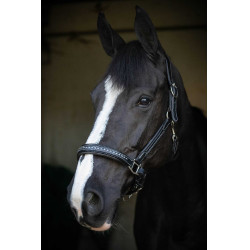 Cabezada de cuero Pénélope Point Sellier Negro