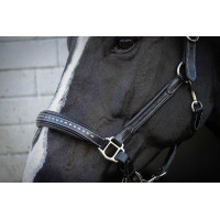 Cabezada de cuero Pénélope Point Sellier Negro