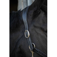 Cabezada de cuero Pénélope Point Sellier Negro