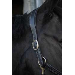 Cabezada de cuero Pénélope Point Sellier Negro