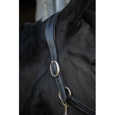 Cabezada de cuero Pénélope Point Sellier Negro