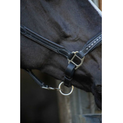 Cabezada de cuero Pénélope Point Sellier Negro