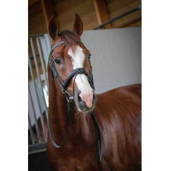 Cabezada Pénélope Daily Negro