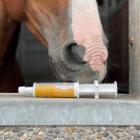 Alimentación complementaria LPC Red Booster Flash