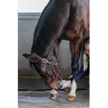 Little Likit refill Little Likit refill