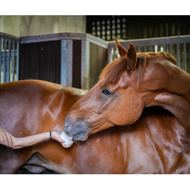 Little Likit refill Little Likit refill