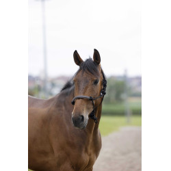 Cabezada etológica Norton cuerda/sintético Negro