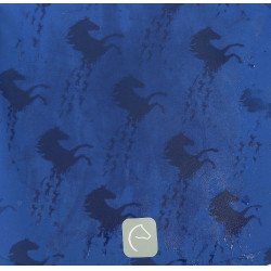 Softshell Equi-Kids Amandine Azul marino Softshell Equi-Kids Amandine Azul marino