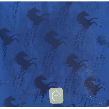 Softshell Equi-Kids Amandine Azul marino Softshell Equi-Kids Amandine Azul marino