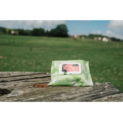 Easy Shine Ravene Wipe