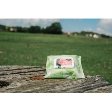 Easy Shine Ravene Wipe