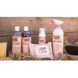 Easy Shine Ravene Wipe