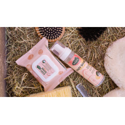 Easy Shine Ravene Wipe