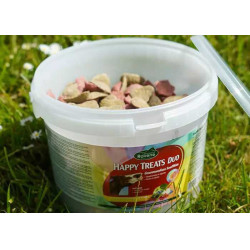 Duo de golosinas felices Ravene