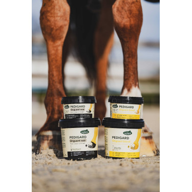 Pediguard Ravene, ungüento rubio