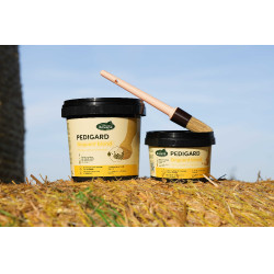 Pediguard Ravene, ungüento rubio