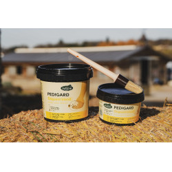 Pediguard Ravene, ungüento rubio