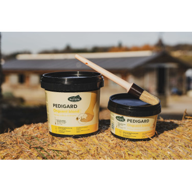 Pediguard Ravene, ungüento rubio