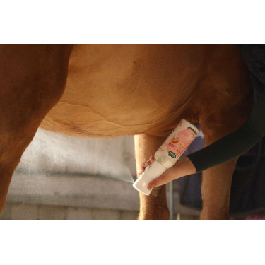 Easy Shine Ravene Intenso Recarga Easy Shine Ravene Intenso Recarga