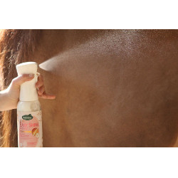 Easy Shine Ravene intenso