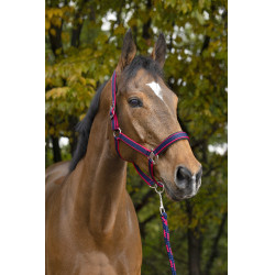 Cabezada + ramal Equitheme Satinado Azúl marino / fucsia