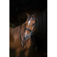 Cabezada Eric Thomas Hybrid Weymouth Negro