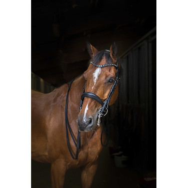 Cabezada Eric Thomas Hybrid Weymouth Negro