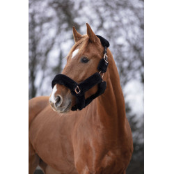 Cabezada Equi-Theme Teddy rose gold Negro Cabezada Equi-Theme Teddy rose gold Negro