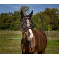 Máscara antimoscas Equi-Theme Training