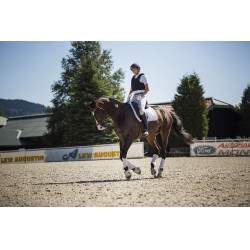 Chaleco de protección Komperdell Frontzip Slim Negro Chaleco de protección Komperdell Frontzip Slim Negro