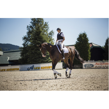 Chaleco de protección Komperdell Frontzip Slim Negro Chaleco de protección Komperdell Frontzip Slim Negro