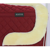 Mantilla/salvacruz Norton Pato azul