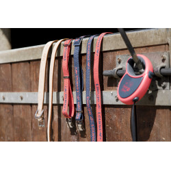 Collar de nailon Diego & Louna para perros