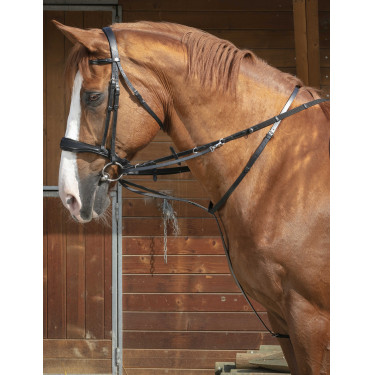 Chambón Norton Pro Thiedeman