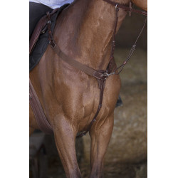 Pechopetral elástico Norton Pro Havana Marrón