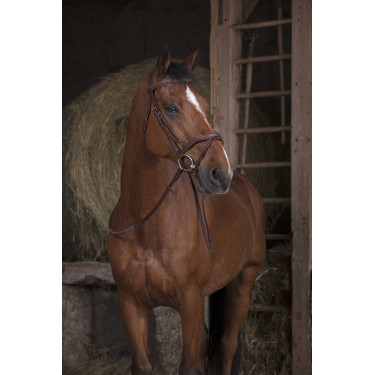 Riendas de goma Norton Pro Havana Marrón