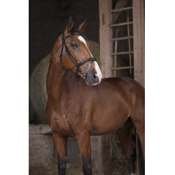 Cabezada Norton Pro Combinée Negro