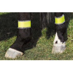 Vendas reflectantes para posteriores