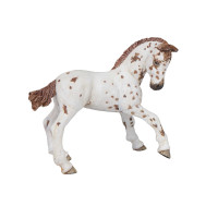 Potro Appaloosa PAPO