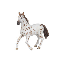 Yegua Appaloosa PAPO