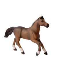 Yegua Angloárabe PAPO