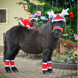 Orejeras de Navidad con forma de madera de reno