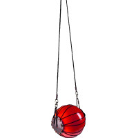 Pelota para caballos