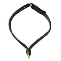 Collar para caballos Apollo Collar para caballos Apollo