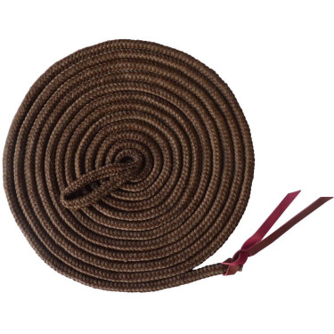 Ramal de trabajo de doma natural Castaño Marrón