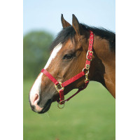 Cabezada Equi-Theme "Nylon" Roja Rojo