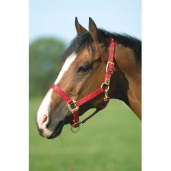 Cabezada Equi-Theme "Nylon" Roja Rojo